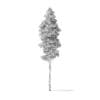 Quaking Aspen Tree 3D Model 9.4m - Image 4