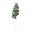 Quaking Aspen Tree 3D Model 9.4m - Image 5