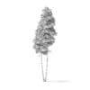 Quaking Aspen Tree 3D Model 9.4m - Image 6