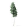 North American Trees 3D Models Collection - Volume 120 - Image 40