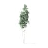Quaking Aspen Tree 3D Model 11.7m - Image 5
