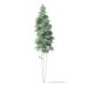 North American Trees 3D Models Collection - Volume 120 - Image 41