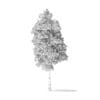 American Basswood Tree 3D Model 9m - Image 6