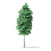 North American Trees 3D Models Collection - Volume 120 - Image 47
