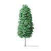American Basswood Tree 3D Model 14.3m - Image 3