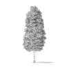 American Basswood Tree 3D Model 14.3m - Image 4