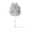 Boxelder Maple Tree 3D Model 7.6m - Image 2