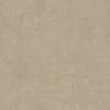 Beige Plaster Wall - Image 2