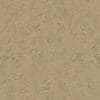 Beige Stucco Wall - Image 2