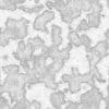 Damaged Wall with Layered Paint PBR Texture - Image 9