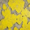 Damaged Yellow Painted Wall PBR Texture - Image 2