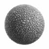 Physical Rocks PBR Textures - Image 91