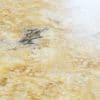 Beige Marble PBR Texture - Image 2