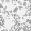 Damaged Road with Puddles PBR Texture - Image 5
