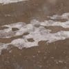Damaged Road with Puddles PBR Texture - Image 2