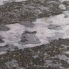 Damaged Road with Roadside PBR Texture - Image 2