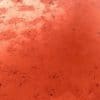 Scratched Red Metal PBR Texture - Image 2