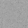 Alien Space Ship Wall PBR Texture - Image 4