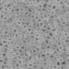 Alien Space Ship Wall PBR Texture - Image 5