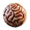 Physical 3 Organic PBR Textures - Image 10