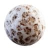 Physical 3 Organic PBR Textures - Image 27