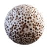 Physical 3 Organic PBR Textures - Image 28