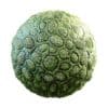 Physical 3 Organic PBR Textures - Image 34