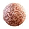 Physical 3 Organic PBR Textures - Image 43