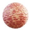 Physical 3 Organic PBR Textures - Image 53