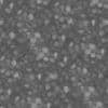 Mossy Village Road PBR Texture - Image 5