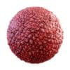 Physical 3 Organic PBR Textures - Image 67