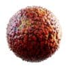 Physical 3 Organic PBR Textures - Image 79