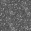 Village Road PBR Texture - Image 5