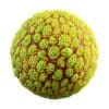 Physical 3 Organic PBR Textures - Image 91