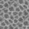 Alien Bones PBR Texture - Image 5