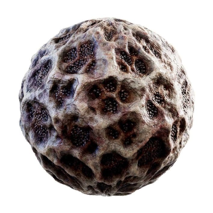 Alien Bones PBR Texture