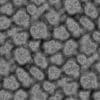 Alien Bones PBR Texture - Image 9