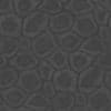 Blue Creature Skin PBR Texture - Image 8