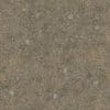 Bones on Desert PBR Texture - Image 2