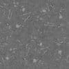 Bones on Desert PBR Texture - Image 4