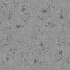 Bones on Desert PBR Texture - Image 9
