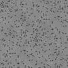 Bullets and Shells on Asphalt Road PBR Texture - Image 9