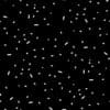 Bullets on Asphalt Road PBR Texture - Image 6