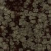 Cracked Green Creature Skin PBR Texture - Image 2