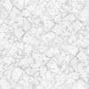 Damaged Pavement PBR Texture - Image 3
