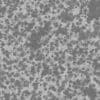 Damaged Plaster Wall with Bullet Holes PBR Texture - Image 4