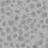 Dead Coral PBR Texture - Image 4