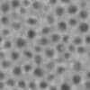 Dead Coral PBR Texture - Image 5