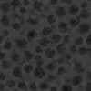Dead Coral PBR Texture - Image 8