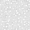 Desert Rocks PBR Texture - Image 2